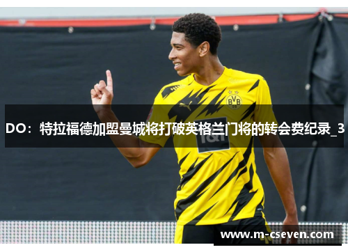 DO：特拉福德加盟曼城将打破英格兰门将的转会费纪录_3